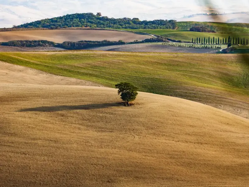 Image of Sylvain3 a lone tree in the middle of a field | Photo by Marco Giuseppe Timelli, on https://unsplash.com/@marcogiuseppetimelli?utm_source=centralapp&utm_medium=referral